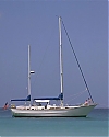 904.jpg