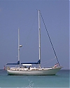 905.jpg