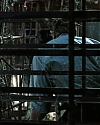 3157.jpg
