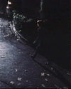JamieLeeCurtisArchives-050.jpg