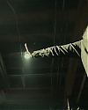 JamieLeeCurtisArchives-1339.jpg